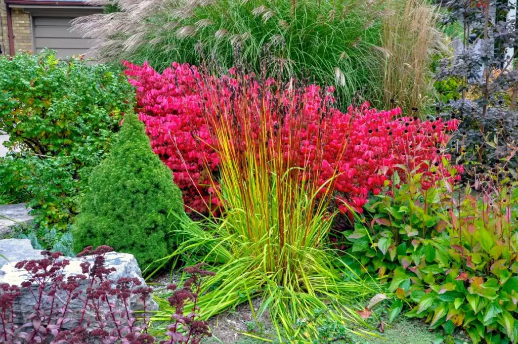 Xeriscaping vs. Local Turf: What’s Best for Your Lehi or Saratoga Springs Home? Xeriscaping - Mapleton, UT